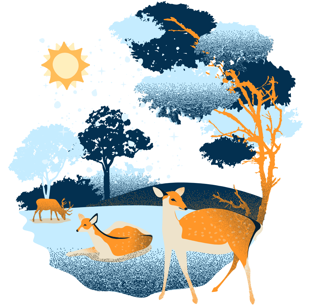 Beautiful Nature - The Khoj Store