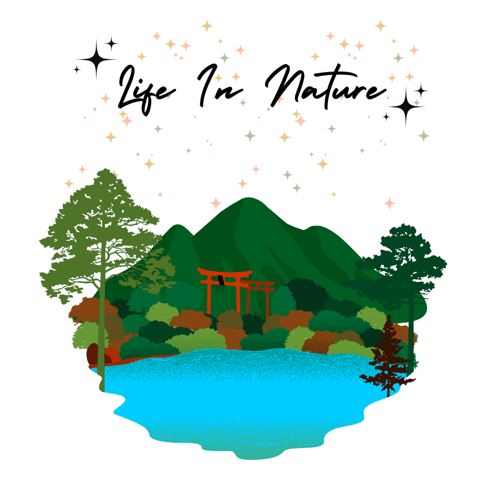 Life In Nature - The Khoj Store